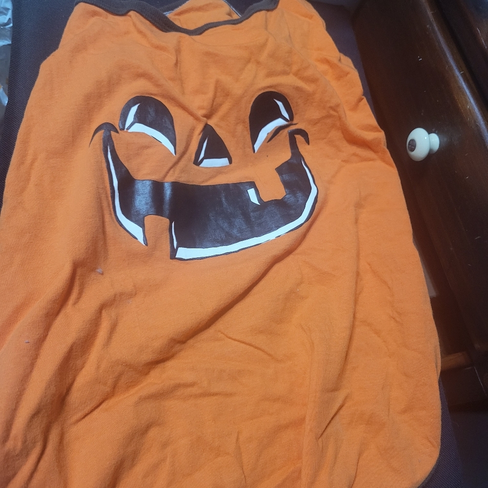 Dog Costume Pumpkin Costume 🎃